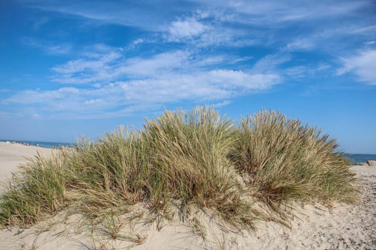Lysets magi i Skagen