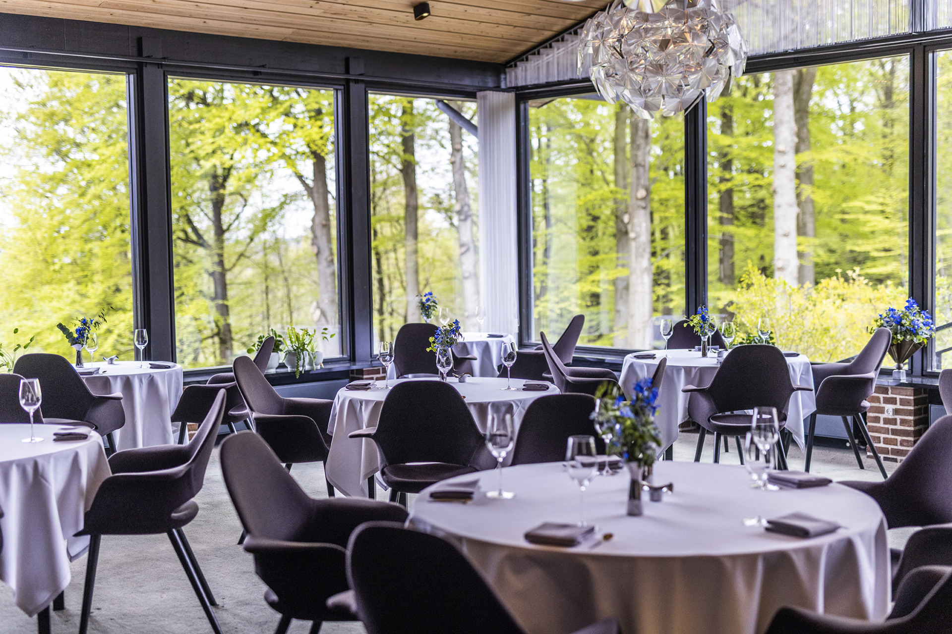 Der er en helt særlig atmosfære hos Treetop Restauranten i Vejle.