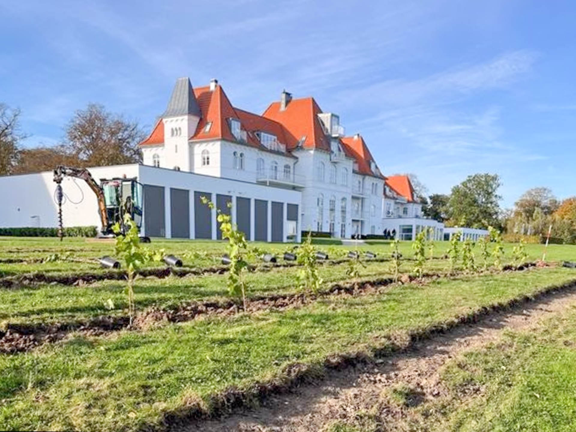 Comwell Keller Park har fået egen vinmark.