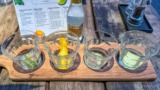 Et gin smagsbræt hos Ginbar i Vejle. God variation.